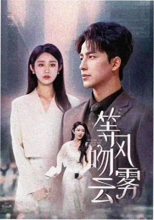 雾中归途剧集海报